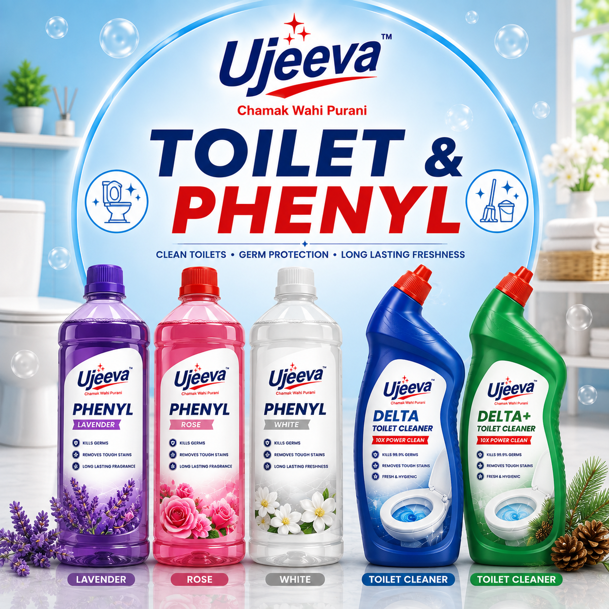 Toilet & Phenyl